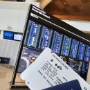 양지로1R | [2024.07.22] WN2919 (SFO-LAS) B38M 이코노미 탑승기