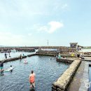 샛도리물 이미지