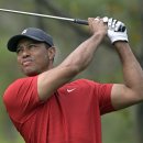 우즈골프연습장 이미지