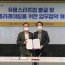 더스트랩