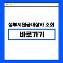 정부지원금