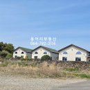 용머리공인중개사사무소 이미지