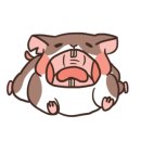 왓커피교육청점