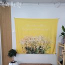 목화화원 이미지