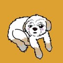용산-248 | 용산화실, 위드마레 스튜디오 :: 아이패드 드로잉 원데이클래스 후기