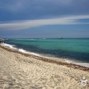 인물 찾아 떠나는 역사여행 이미지