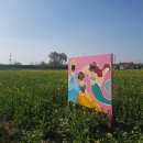 궁1리마을회관 이미지