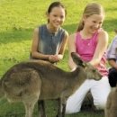 말무리염소농장 이미지