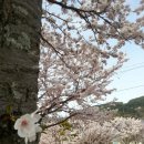 욕지면사무소 이미지