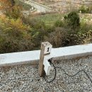 화금지 | [캠핑] 화금지 숲속캠핑장_1번 사이트