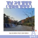 장좌리캠핑장 티스토리