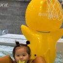 스위밍베베 이미지