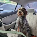 가치타개(타개) 이미지