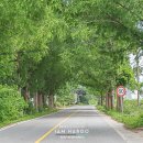 곡성-041 이미지