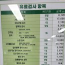 B형간염 예방접종 후기(대전 중구보건소)