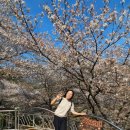 정금교 옆 이미지