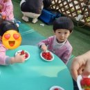 백개농장 네이버블로그