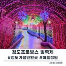 우리가족 정원 만들기 | 청도 프로방스 빛축제 하늘정원 식당 내돈내산 솔직후기