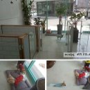 제이 그루밍 이미지
