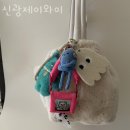 대치동애견샵 신광제이와이 사람들의 리뷰를 확인하세요