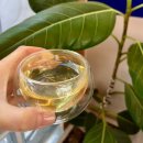 카페퐁당 | 도안동카페 분위기 좋은 이엔디커피 매력에 퐁당 빠진 후기