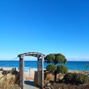 바다정원 이미지