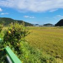 경남고성논매매...삼산면 2차선변 저렴한 농업진흥구역 농지 매매 2,002m² 몽땅 5천만원 이미지