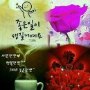 조은주 카카오 검색결과