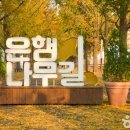 은행나무길 화장실 이미지