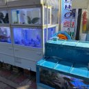 막썰어회해물 이미지