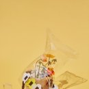 라라하이 이미지