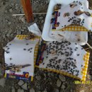 송우농장 이미지