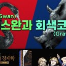 블랙스완(Black Swan)과 회색코뿔소(Gray Rhino) [만화로 보는 맨큐의 경제학] 이미지