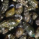 인동북길-6 이미지