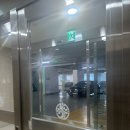 일로와호텔 | [임산부&amp;애견동반(속초여행) Day1] 카시아호텔 펫패키지 + 예스닭강정 + 바다해풍 숙성회 내돈내산 후기