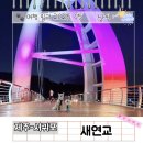 제주 서귀포층 패류화석 산지 | 서귀포 애견동반 야경 명소 새연교 음악 분수 시간 주변 볼거리