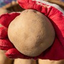 내내농수산 이미지