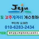 낙타게스트하우스 민박 네이버블로그