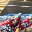 세븐일레븐 뉴화정수점 | 롯데자이언츠 X 세븐일레븐 쌔리라! 띠부씰 또 모으자..!