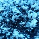 동성세탁 이미지