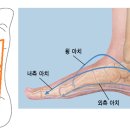 국민필라테스 평생교육원