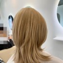 살롱드 봄처럼