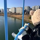 전동공영주차장 | 울산 가볼만한곳 태화루 스카이워크 전동 그네 예약