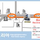 코리아부동산공인중개사사무소 이미지