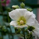 예당한의원 이미지