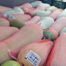 담비농장 이미지