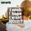 I HOPE | I wish I hope I want 차이에 대해 알아봅시다