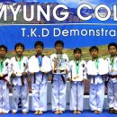 비사태권스쿨 이미지