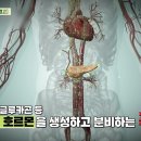 [닥터의 경고, 췌장질환] 우리 몸속 깊은 곳에서 소화액을 분비하고 인슐린, 글루카곤 등 각종 호르몬을 생성하고 분비하는 "췌장"! 이미지