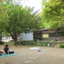 분원부동산공인중개사사무소 | 다산유적지부근의 다산생태공원은 가족나들이로 최고인 곳입니다.